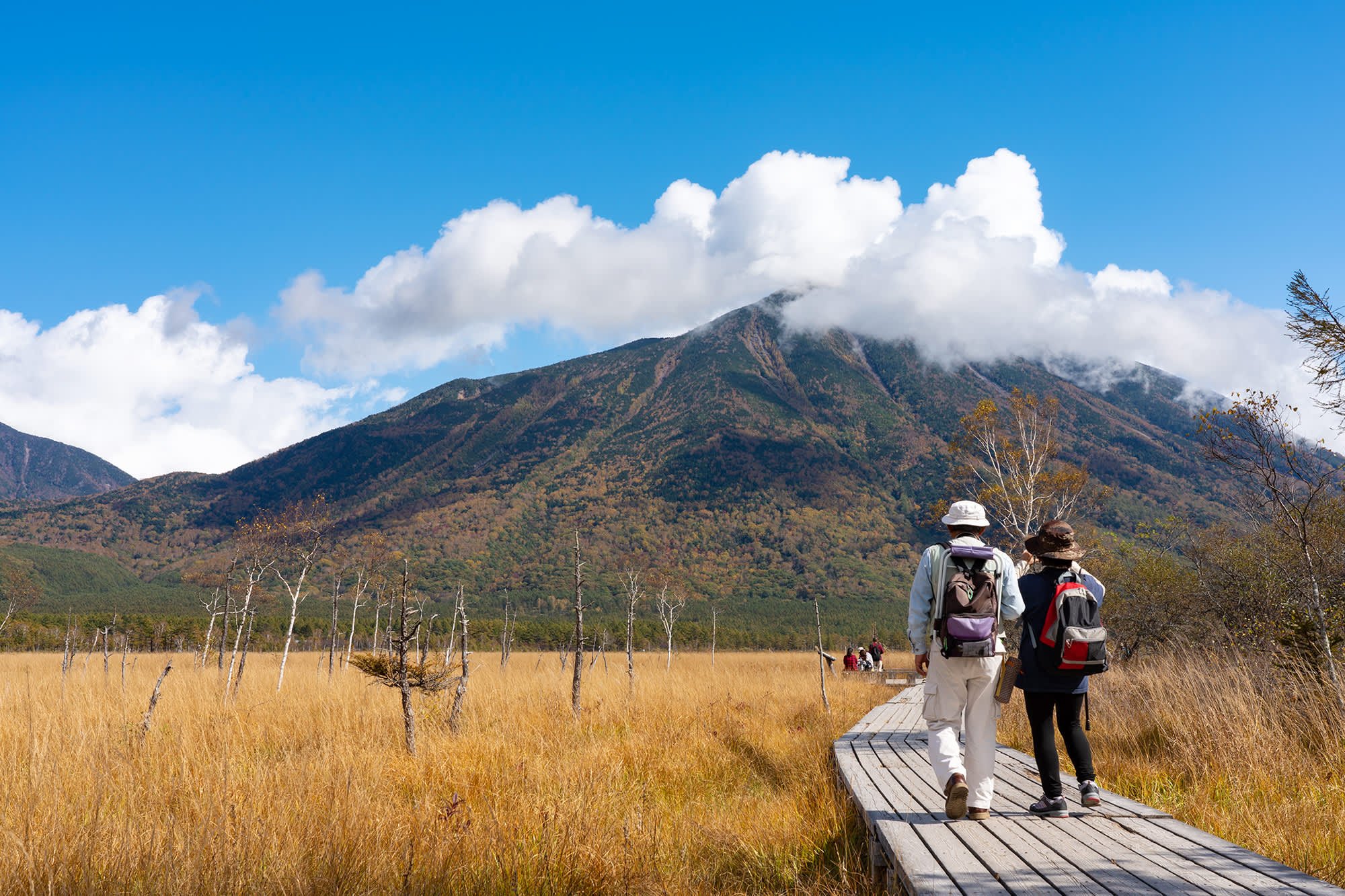 🏞️ 반월산 전망대 (한게츠야마 텐보다이) 이미지 7